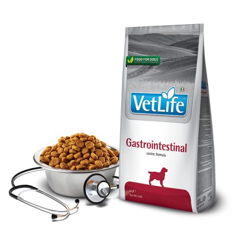 Vet Life Gastrointestinal Gyógytáp Kutyáknak