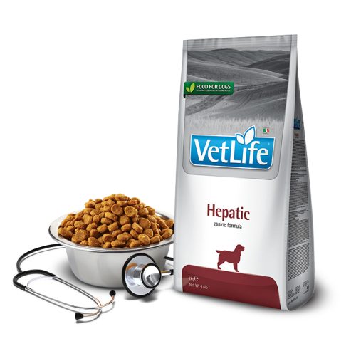 Vet Life Hepatic Gyógytáp Kutyáknak