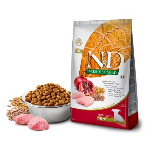 N&D Ancestral Grain Csirke & Gránátalma Mini kutayatáp kölyök kutyáknak 2,5 kg