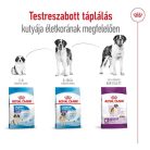 Royal Canin Giant kutyatáp felnőtt kutyáknak